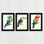 Kit 3 Quadros Pássaros-Silvestres - Imagem 3
