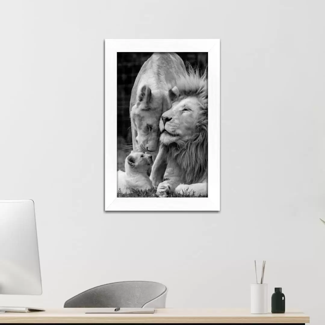 Quadro Decorativo Animais - Leões - Imagem 2