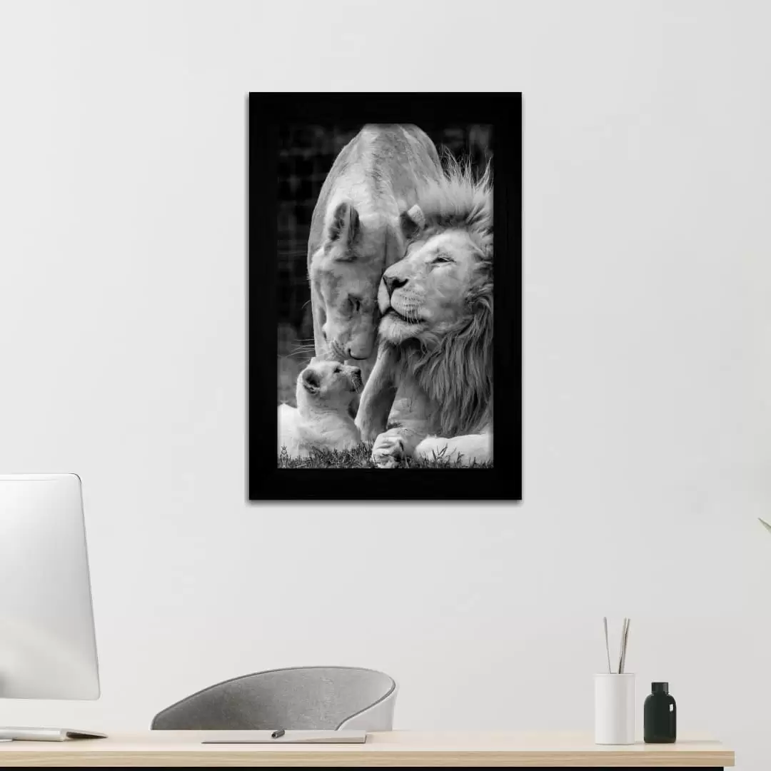 Quadro Decorativo Animais - Leões - Moldura Preta - Quadro Decorativo Animais - Leões - Moldura Preta -