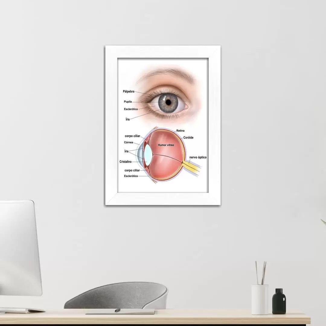 Quadro Decorativo Frase - Anatomia - Imagem 2