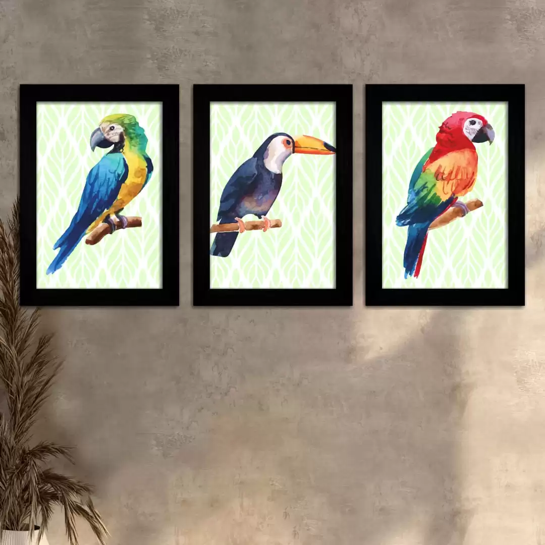 Kit 3 Quadros Pássaros-Silvestres - Moldura Preta -