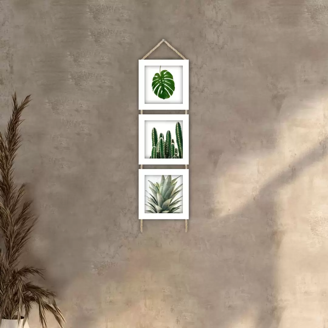 Quadros decorativos - Trio de cordinha - Moldura Branca - Plantas