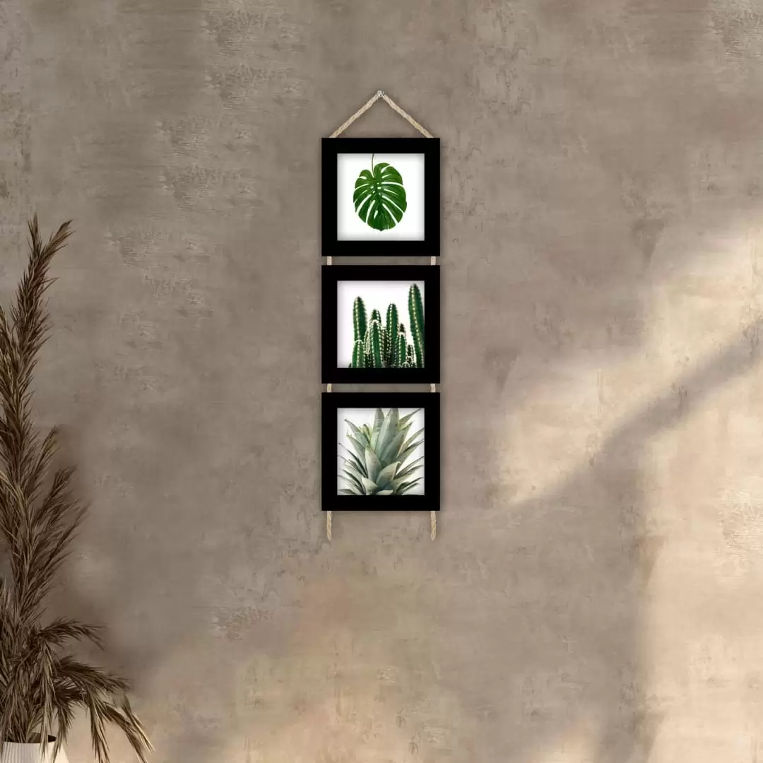 Quadros decorativos - Trio de cordinha - Moldura Preta - Plantas