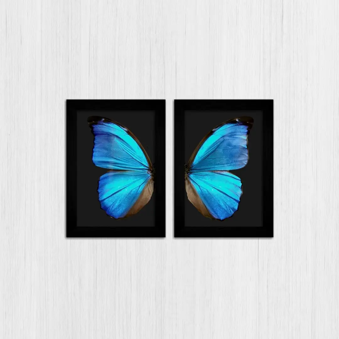 Kit 2 Quadros Borboleta-Azul-Asas - Imagem 3
