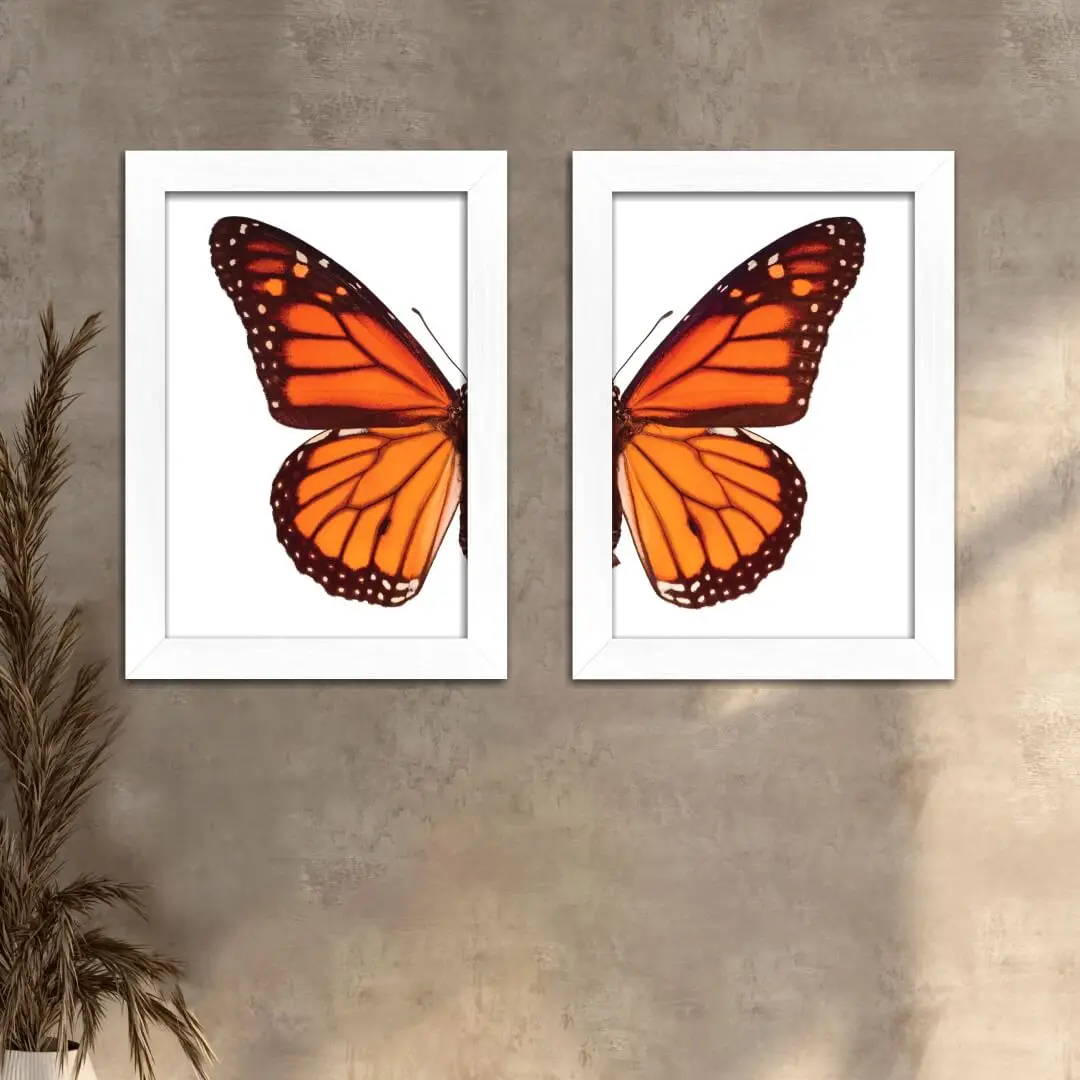 Kit 2 Quadros - Asas de Borboleta-Laranja - Moldura Branca-