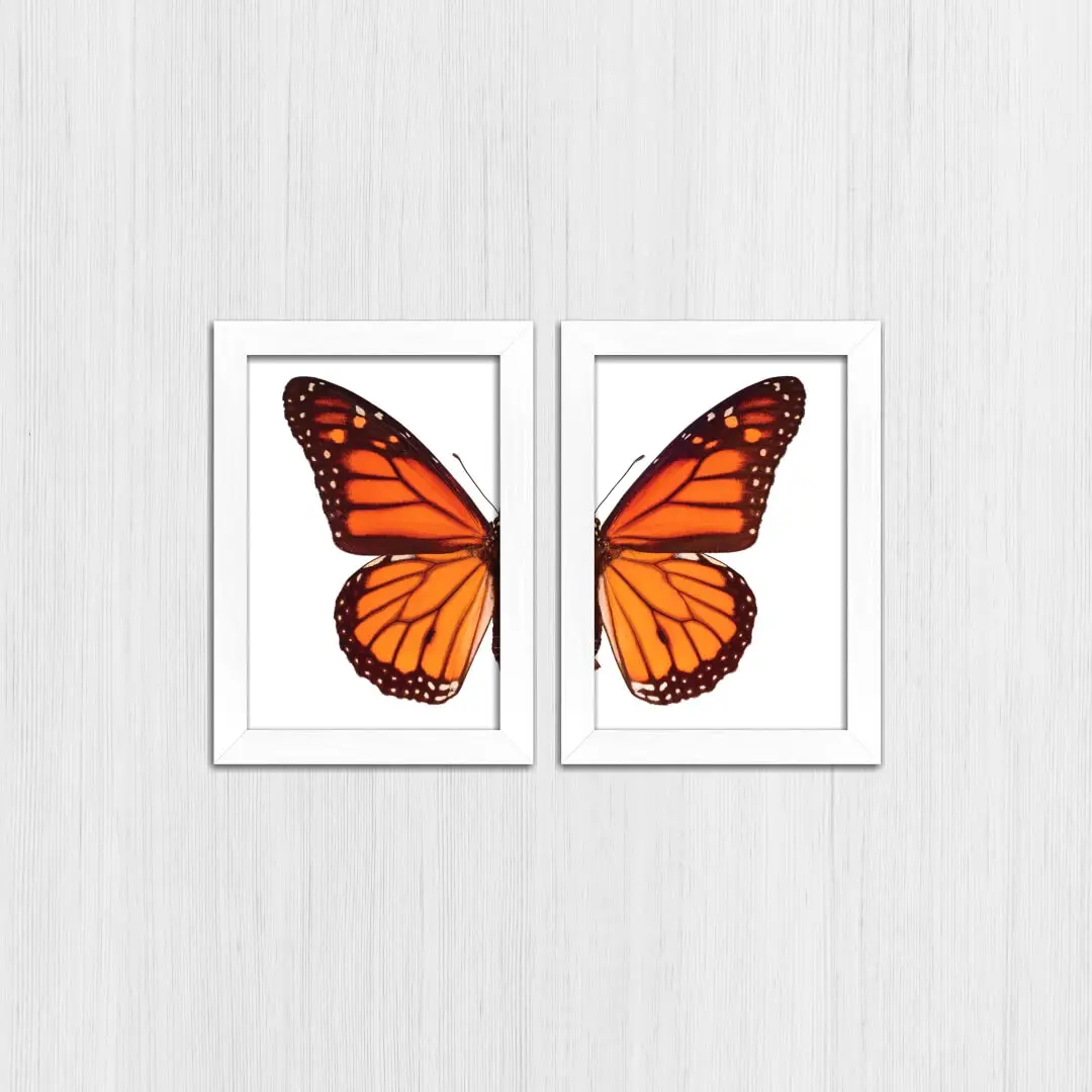 Kit 2 Quadros Asas-de-Borboleta-Laranja - Imagem 4