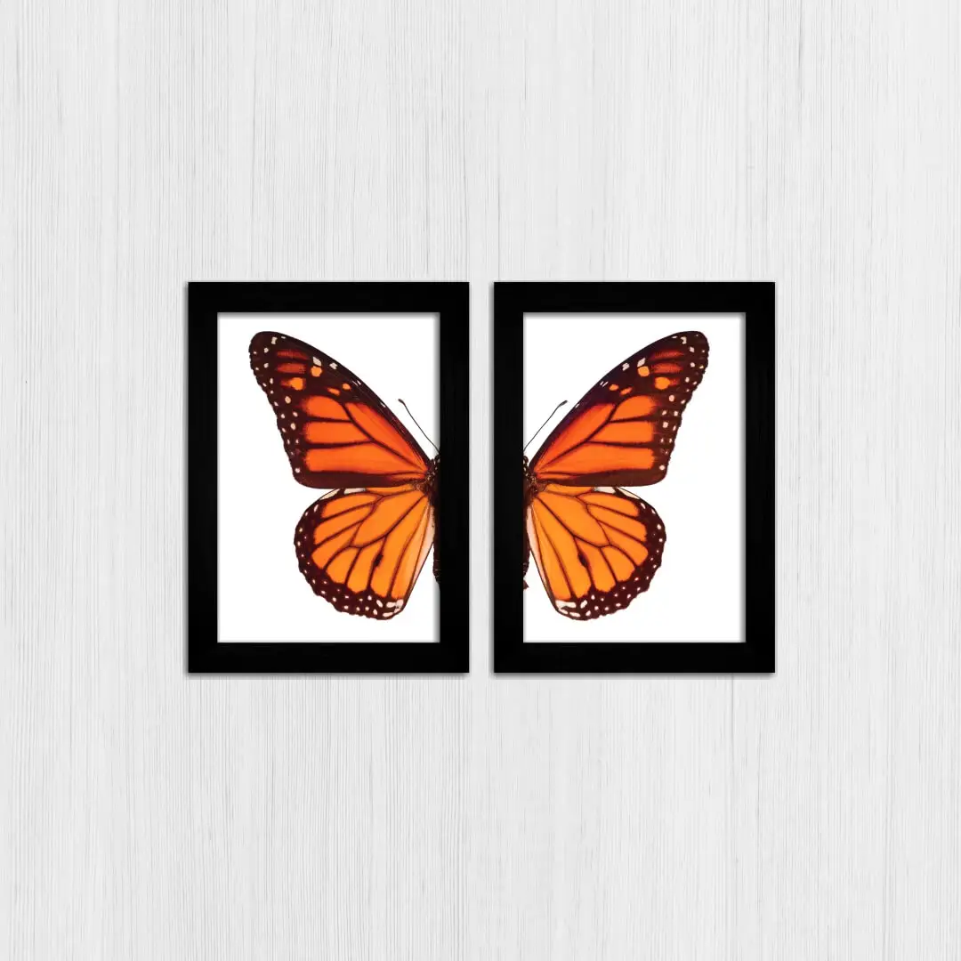 Kit 2 Quadros Asas-de-Borboleta-Laranja - Imagem 3