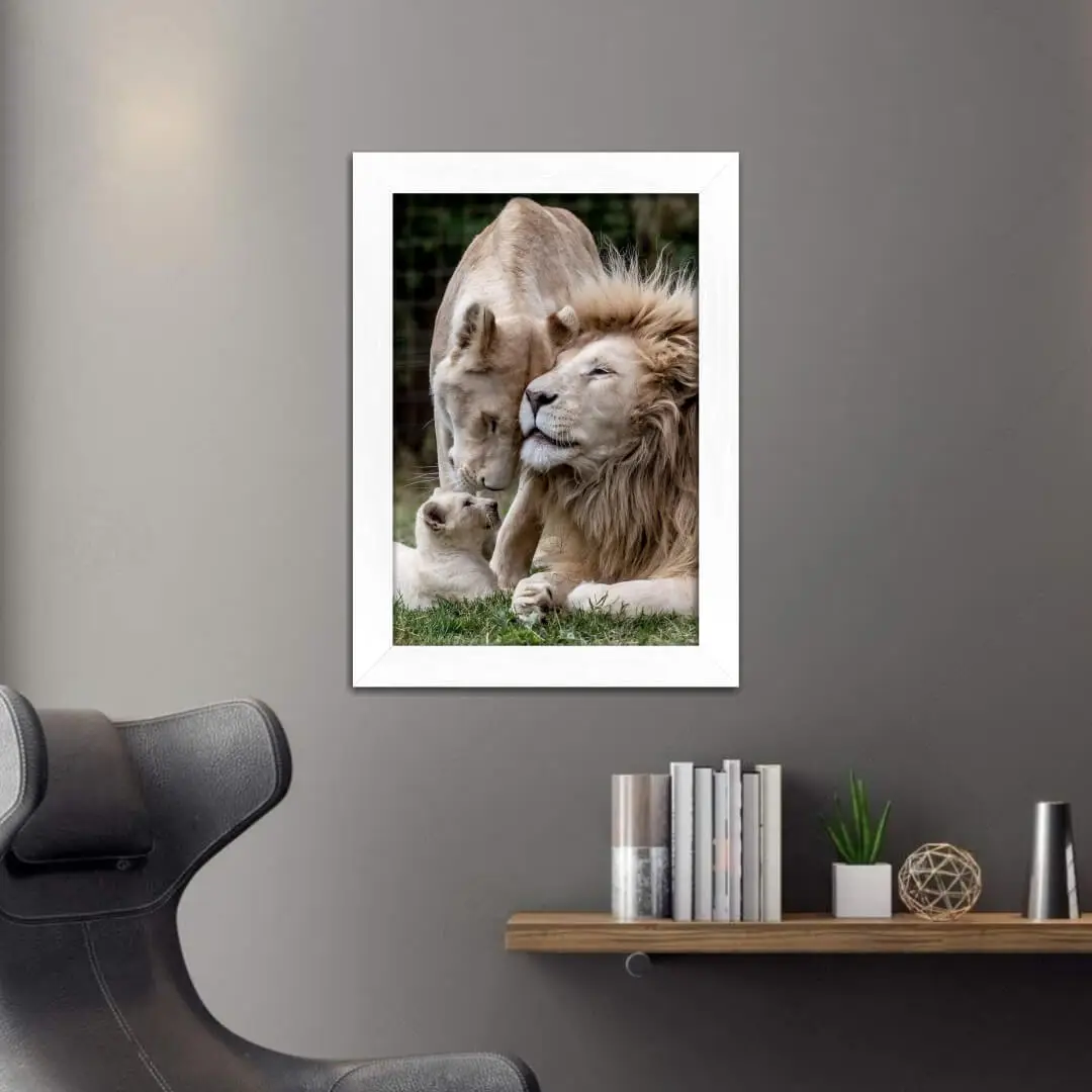 Quadro Decorativo Família de Leões - Imagem 2