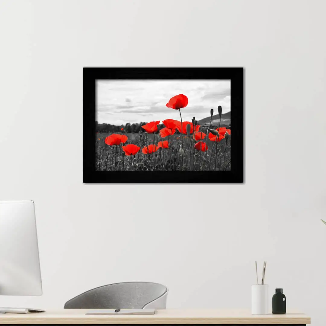 1316 Quadro-Decorativo-Campo-florido