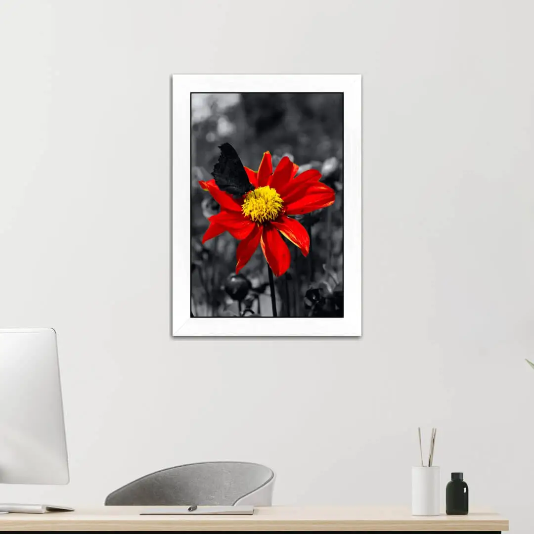 Quadro Decorativo Borboleta na Flor - Imagem 2