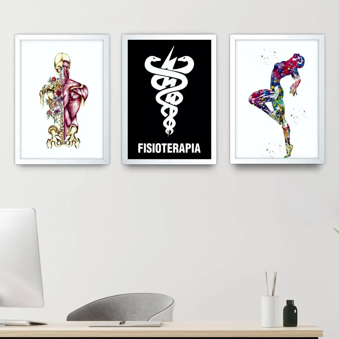 Kit-3-Quadro-Fisioterapia