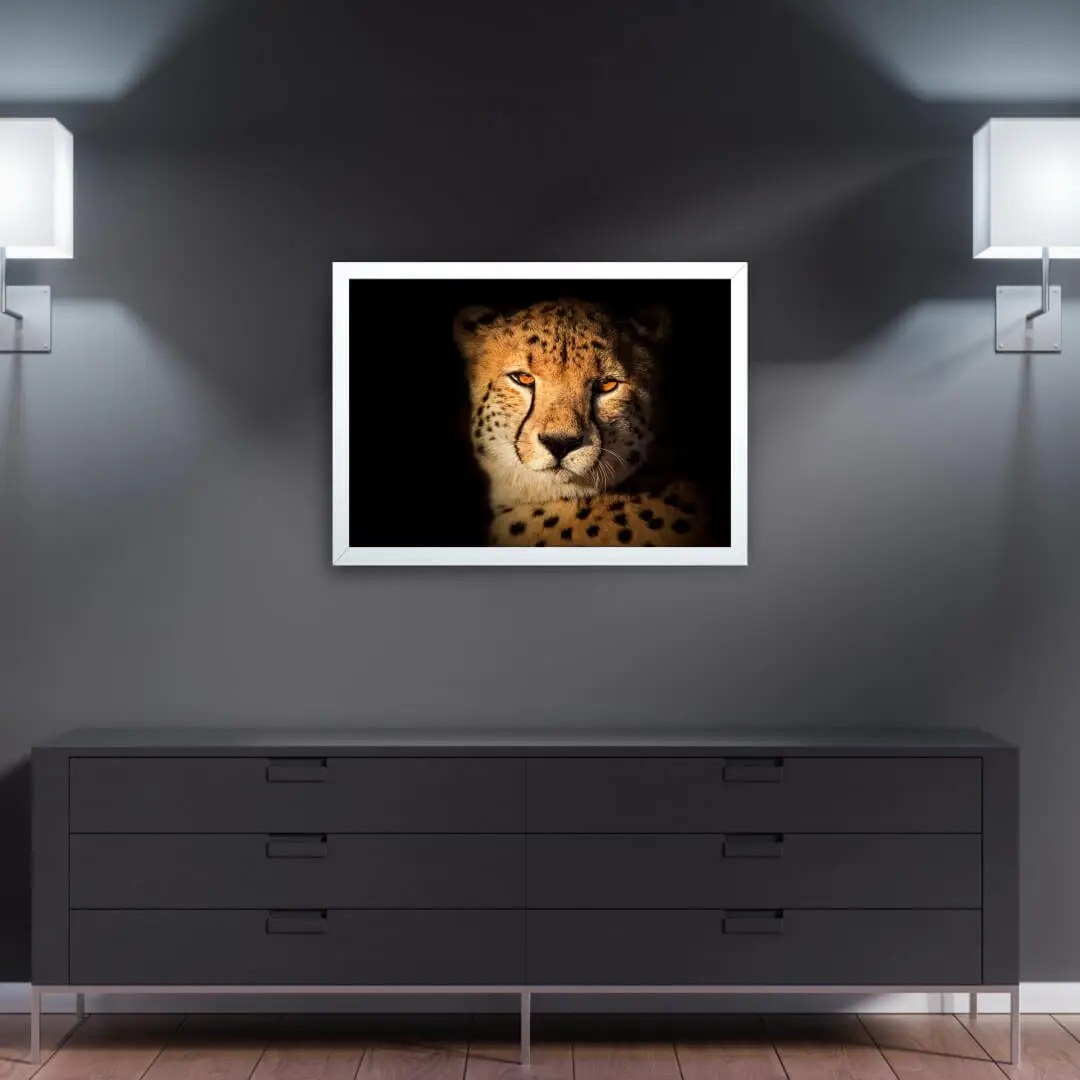 Quadro Decorativo Felinos Cheeta - Imagem 2