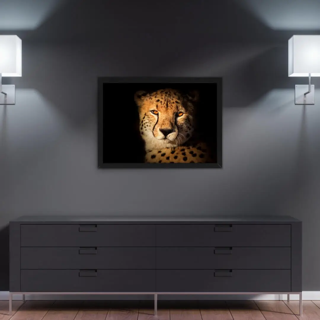 Quadro-Decorativo-Cheeta
