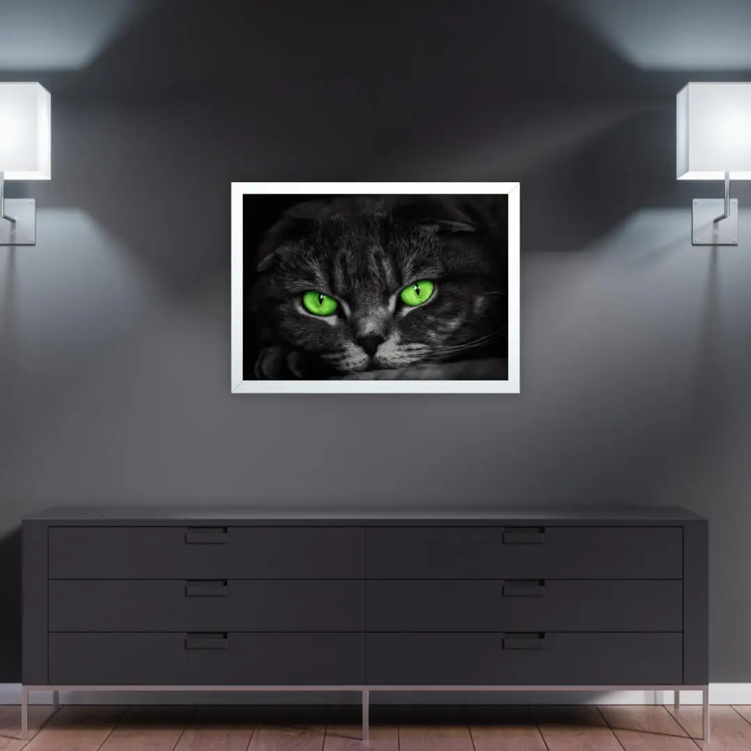 Quadro Decorativo Felino Gato - Imagem 2