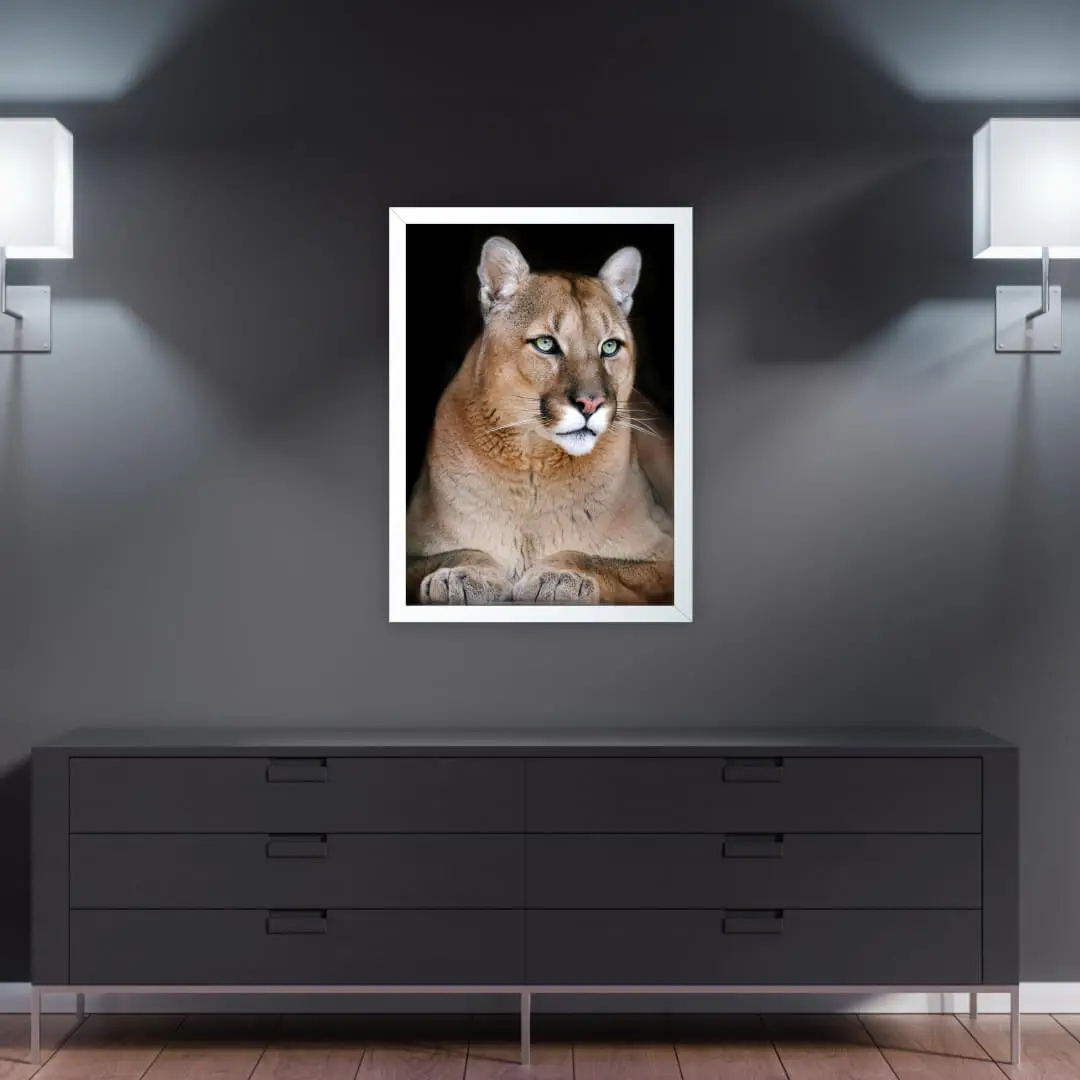 Quadro Decorativo Felino Puma - Imagem 2