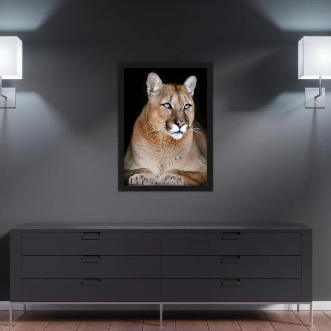 Quadro-Decorativo-Felino-Puma
