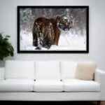 Quadro-Decorativo-Snow-and-Tiger - Big's