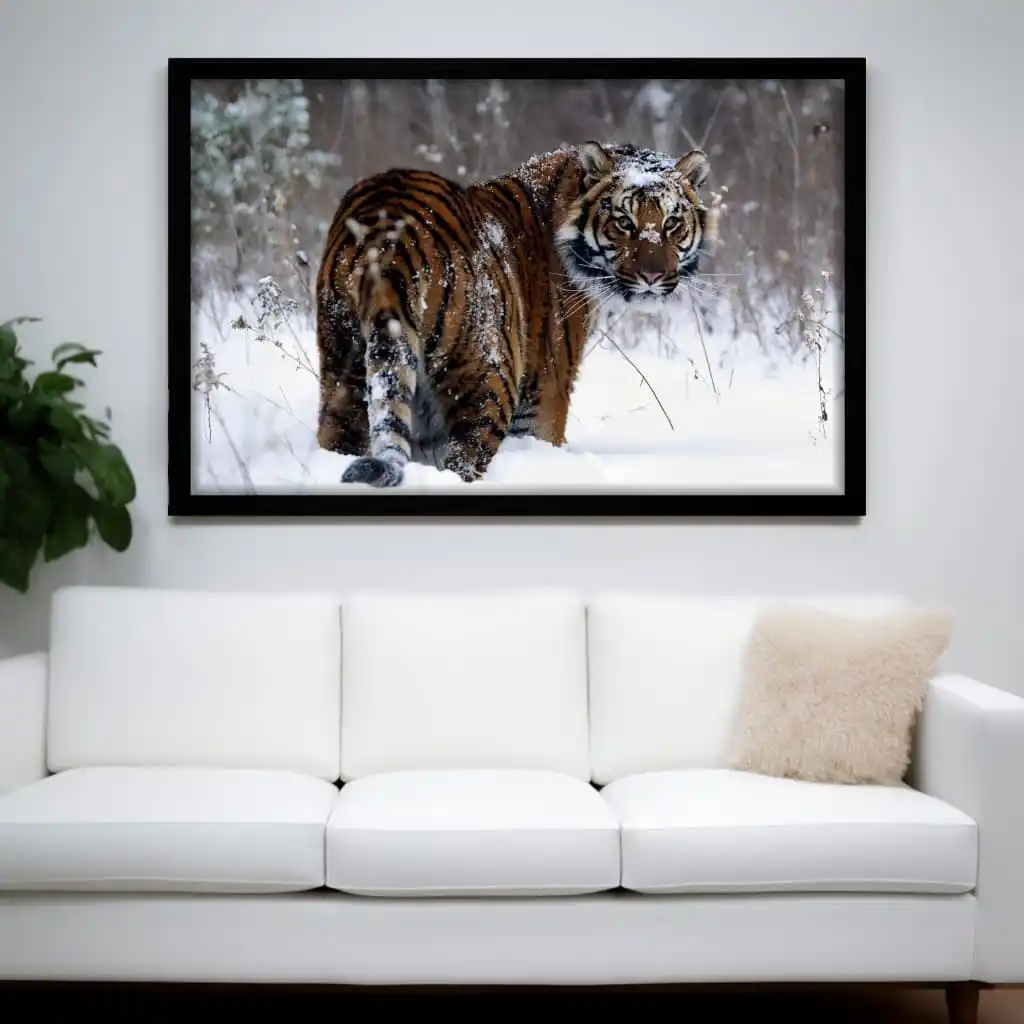 1652 MODESTA PRETA Quadro-Decorativo-Snow-and-Tiger - Big's