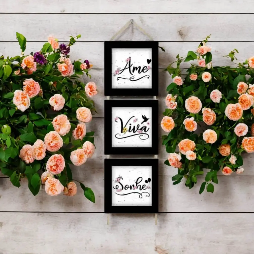 Trio Quadrinhos com Corda - Ame Viva - Imagem 2