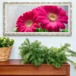 Quadro-Decorativo-Gerbera - Panorâmicos