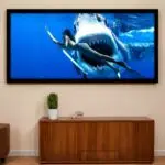Quadro-Decorativo-Shark-Attack
