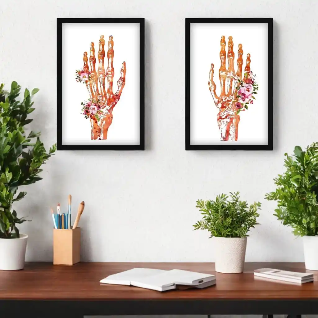 Kit-2-Quadros-Anatomia-Biologico