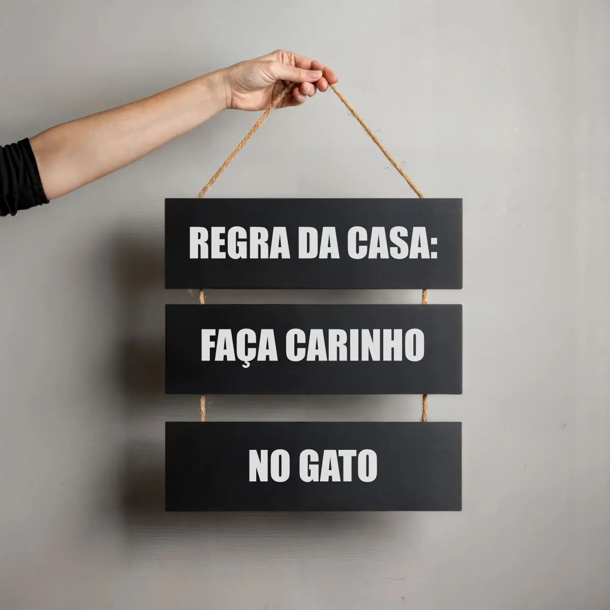 Placa 3 Partes - Faça Carinho no Gato - Imagem 1