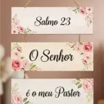 Placa 3 Partes - Saldo 23