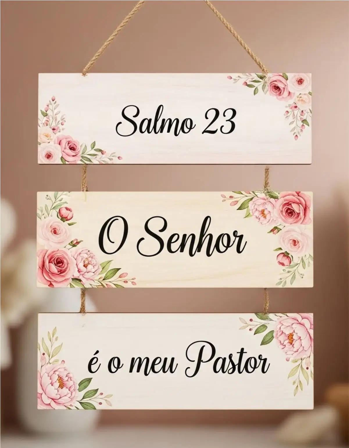 Placa 3 Partes - Saldo 23 - Imagem 1