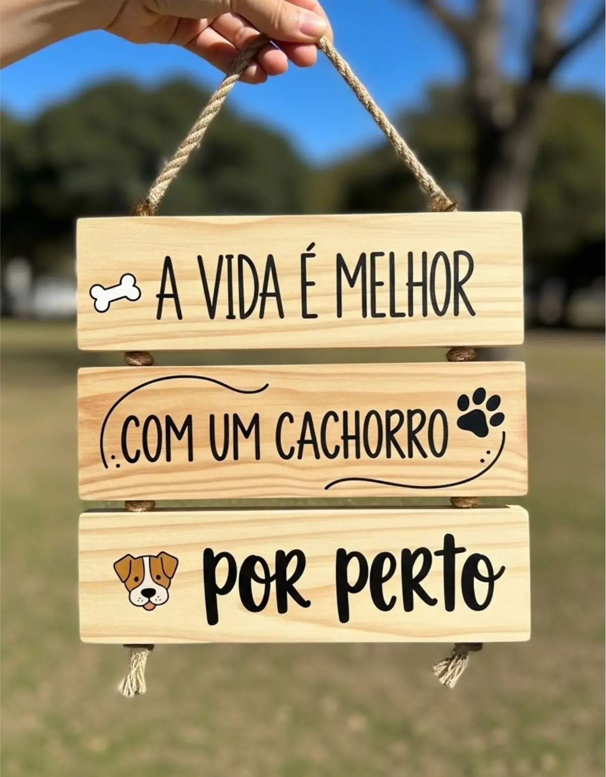 Placa 3 Partes - A vida é melhor - Imagem 1